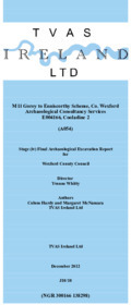 Object Archaeological excavation report, E4166 Cooladine 2, County Wexford.cover