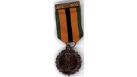 Object The 1916 Medal.has no cover picture