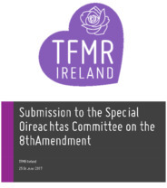 Object TFMR Submission to Oireachtas Committee on the Eighth Amendmenthas no cover picture