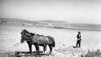 Object Ploughing scene, Clougherhead, County Louth.has no cover picture