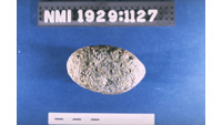 Object ISAP 04352, photograph of section of stone axecover