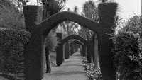 Object The Yew Walk, Ashbourne Gardens, Cobh, Junction, Co. Corkcover picture