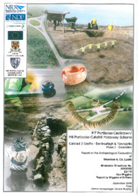 Object Archaeological excavation report,  E2175 Shanboe 4,  County Laois.cover picture