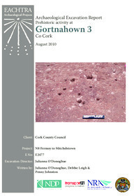 Object Archaeological excavation report,  E2477 Gortnahown 3,  County Cork.cover