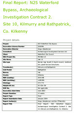 Object Archaeological excavation report, 03E0861 Rathpatrick 10, County Kilkenny.cover picture