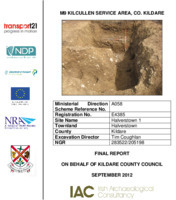 Object Archaeological excavation report, E4385 Halverstown 1, County Kildare.has no cover picture