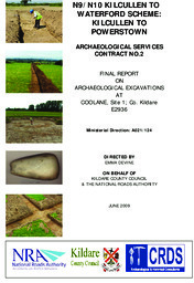 Object Archaeological excavation report,  E2936 Coolane Site 1,  County Kildare.cover picture
