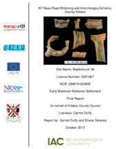 Object Archaeological excavation report,  03E1607 Blackchurch 48,  County Kildare.cover
