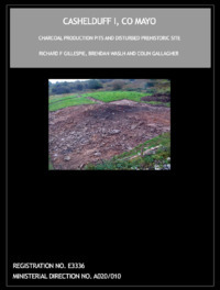 Object Archaeological excavation report,  E3336 Cashelduff I,  County Mayo.cover picture