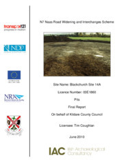 Object Archaeological excavation report,  03E1860 Blackchurch Site 14A,  County Kildare.cover picture
