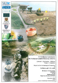 Object Archaeological excavation report,  E2185 Cuffsborough 1,  County Laois.cover picture