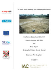 Object Archaeological excavation report,  03E1839 Blackchurch Site 14D,  County Kildare.cover picture