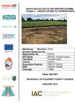 Object Archaeological excavation report, E3733 Tomard Lower 1,   County Kilkenny.has no cover picture