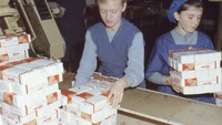 Object Wrapping biscuits in airtight cartons at the Jacob's Factorycover picture