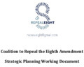 Object Coalition to Repeal the Eighth: Strategic Plan 2015cover picture