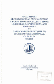 Object Archaeological excavation report,  02E1188 Site 79 Carrickmines Great,  County Dublin.has no cover