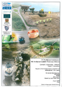 Object Archaeological excavation report,  E2195 Addergoole 1,  County Laois.cover picture
