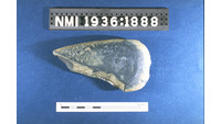 Object ISAP 03687, photograph of face 1 of stone axehas no cover picture