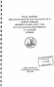 Object Archaeological excavation report,  02E0699 Site73M Murphystown,  County Dublin.cover