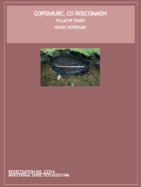 Object Archaeological excavation report,  E3354 Gortanure,  County Roscommon.has no cover picture