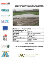Object Archaeological excavation report, E3844 Bannagagole 1,   County Carlow.cover picture