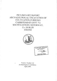 Object Archaeological excavation report,  02E0560 Site 71 Carrickmines,  County Dublin.has no cover