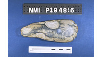 Object ISAP 03742, photograph of face 1 of stone axecover picture