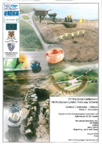 Object Archaeological excavation report,  E2204 Aghmacart 2,  County Laois.cover picture