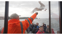 Object A man in a red safety-vest feeding a flying seagull from his hand.cover