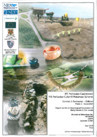 Object Archaeological excavation report,  E2211 Ballyhinode 2,  County Laois.cover picture