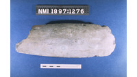 Object ISAP 03759, photograph of face 1 of stone axecover