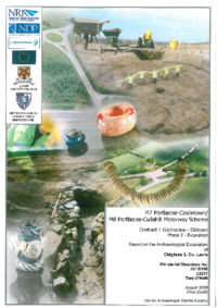 Object Archaeological excavation report,  E2217 Oldglass 3,  County Laois.cover picture