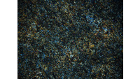 Object ISAP 04955, photograph of cross polarised thin section of stone axehas no cover picture