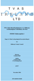 Object Archaeological excavation report,  15E0567 Raheenapisha 1,  County Kilkenny.has no cover picture