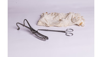 Object Medical instruments: forceps and scissorscover picture