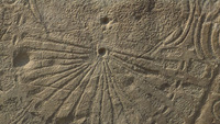 Object Kerbstone 15, Knowth Tomb 1Ccover picture