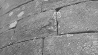 Object Drumlane Round Tower, Carving of Birdhas no cover picture