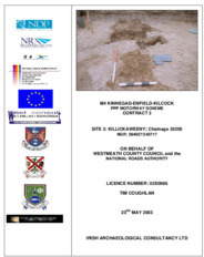 Object Archaeological excavation report,  02E0986 Killickaweeny Site 2,  County Kildare.has no cover picture