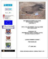 Object Archaeological excavation report,  02E0987 Killickaweeny Site 3, County Kildare.has no cover picture