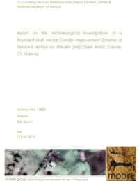 Object Archaeological excavation report,  13E058 Bother na dTreabh,  County Galway.has no cover