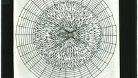 Object Glass slide: drawing of a spider’s web, with spidercover picture
