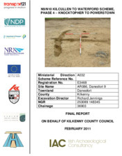 Object Archaeological excavation report,  E3458 Danesfort 9,  County Kilkenny.cover picture