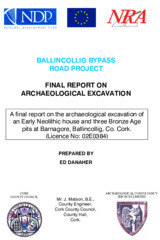 Object Archaeological excavation report,  02E0384 Barnagore 3,  County Cork.cover picture