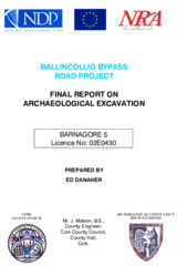 Object Archaeological excavation report,  02E0430 Barnagore 5,  County Cork.cover picture