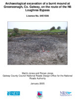 Object Archaeological excavation report, E1506 Greeneenagh, County Galway.cover picture