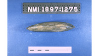 Object ISAP 05238, photograph of the right side of stone axecover
