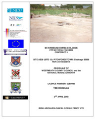 Object Archaeological excavation report,  02E0998 Pitchfordstown Site 13, County Kildare.cover