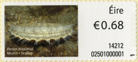 Object Irish Animal & Marine Life - Phase Vcover picture