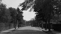 Object An Avenue at Greystones,cover picture