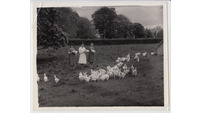 Object Drishane Convent - poultry students and instructresscover picture